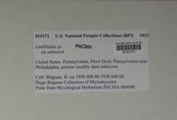 Image Associated With the Occurence